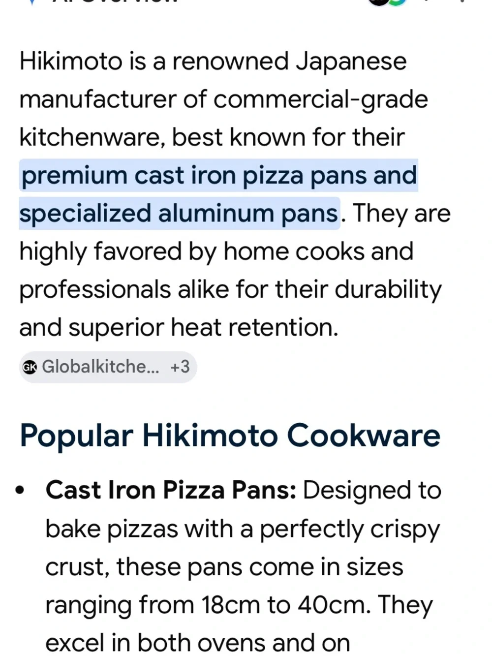 Hikimoto 17 Inch Cast Iron Pizza or Paella Pan
